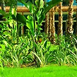 Hotel Maya World